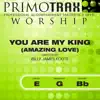 Primotrax Worship & Brent Miller - You Are My King (Amazing Love) [Worship Primotrax] [Performance Tracks] - EP